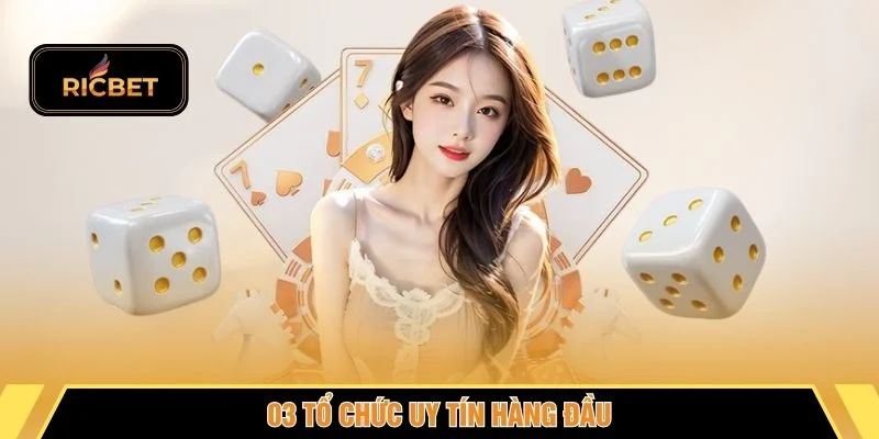03 tổ chức uy tín hàng đầu