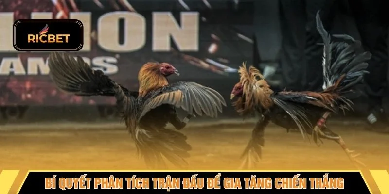 Bí quyết phân tích trận đấu để gia tăng chiến thắng