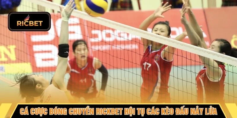 Cá cược bóng chuyền RICKBET hội tụ các kèo đấu nảy lửa