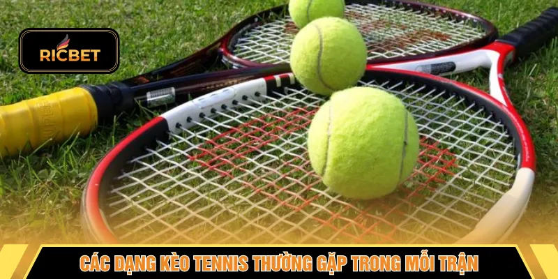 Các dạng kèo tennis thường gặp trong mỗi trận
