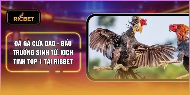 Đá Gà Cựa Dao - Đấu Trường Sinh Tử, Kịch Tính Top 1 Tại RIBBET