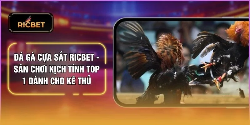 Đá Gà Cựa Sắt RICBET - Sân Chơi Kịch Tính Top 1 Dành Cho Kê Thủ