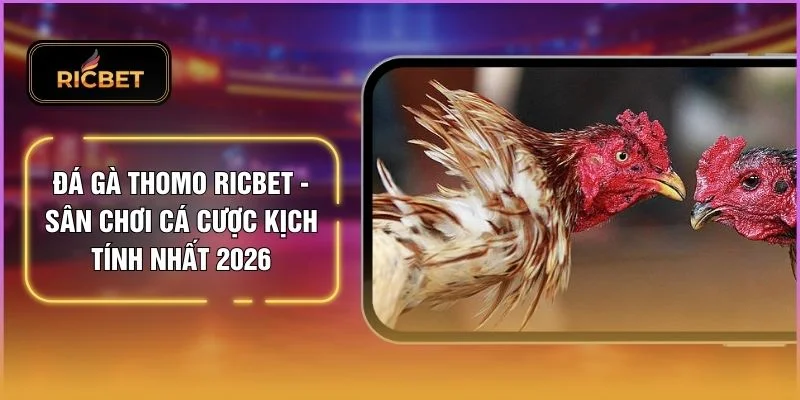 Đá Gà Thomo RICBET - Sân Chơi Cá Cược Kịch Tính Nhất 2026