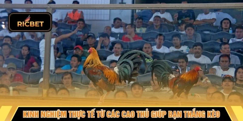 Kinh nghiệm thực tế từ các cao thủ giúp bạn thắng kèo