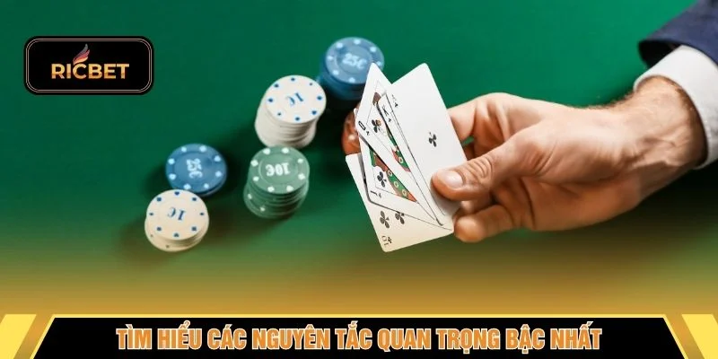 Tìm hiểu các nguyên tắc quan trọng bậc nhất