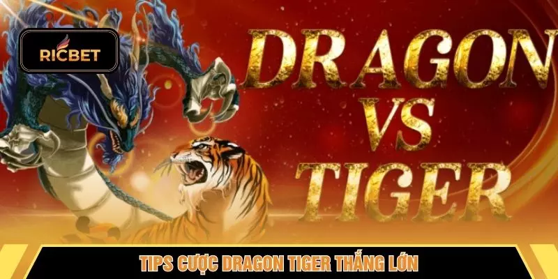 Tips cược Dragon Tiger thắng lớn