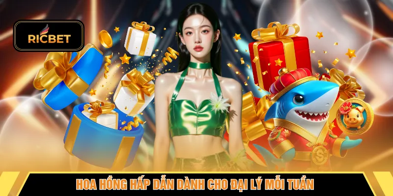 Hoa hồng hấp dẫn dành cho đại lý mỗi tuần